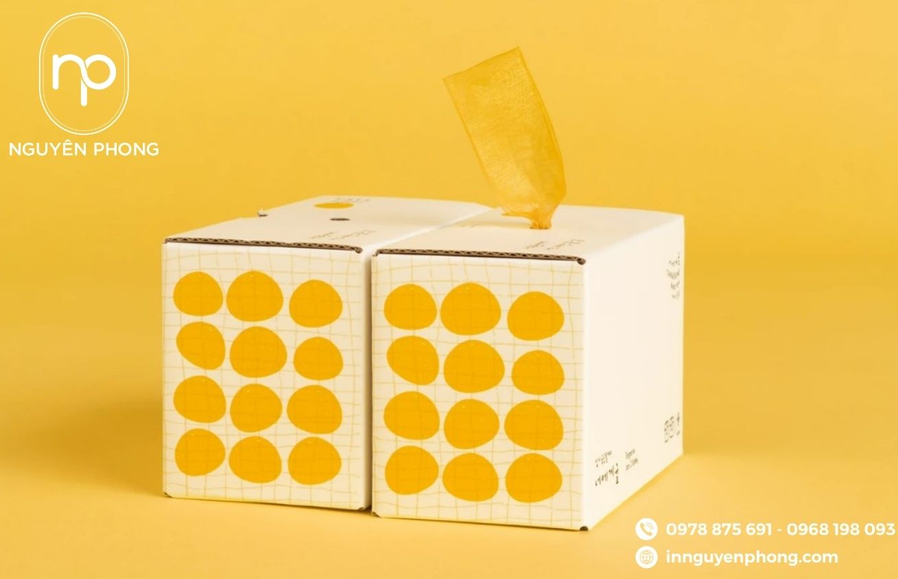Thiết kế hộp carton